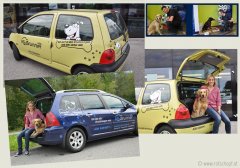 kfz-brunner-Auto-Fotos_hundewerbung_rotschopf.jpg